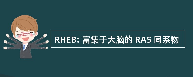 RHEB: 富集于大脑的 RAS 同系物