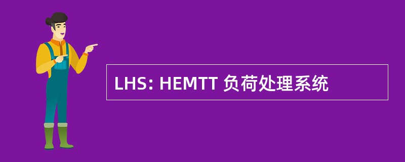 LHS: HEMTT 负荷处理系统