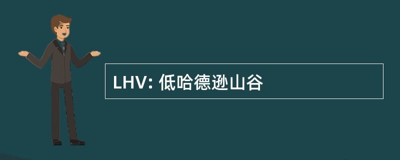 LHV: 低哈德逊山谷