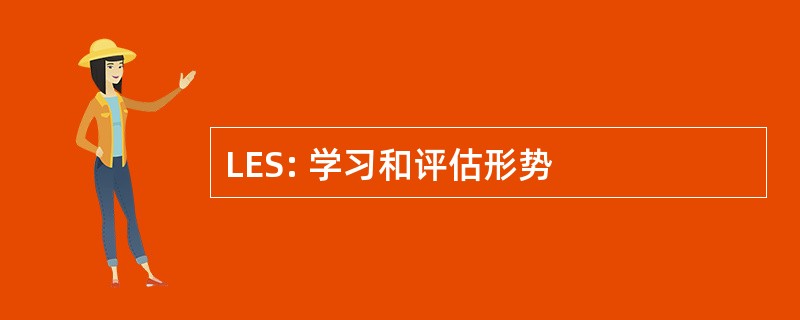 LES: 学习和评估形势