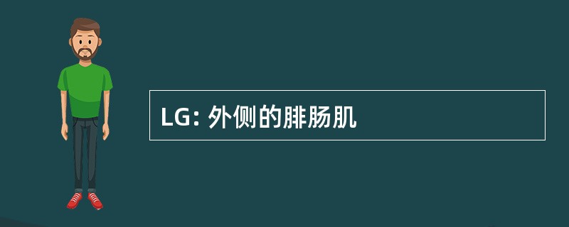 LG: 外侧的腓肠肌