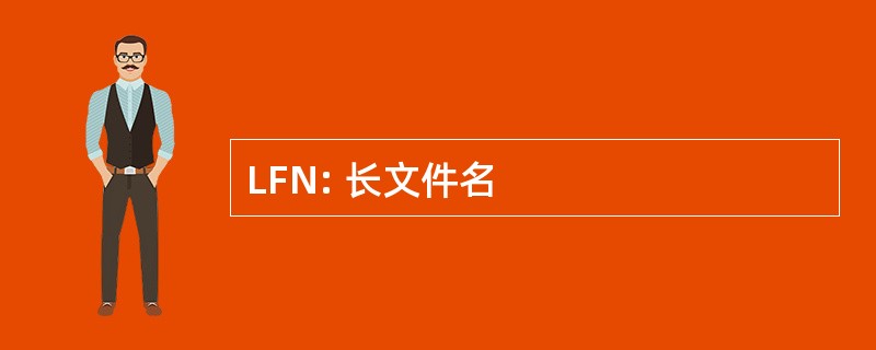 LFN: 长文件名