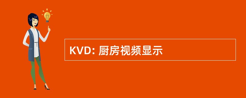 KVD: 厨房视频显示