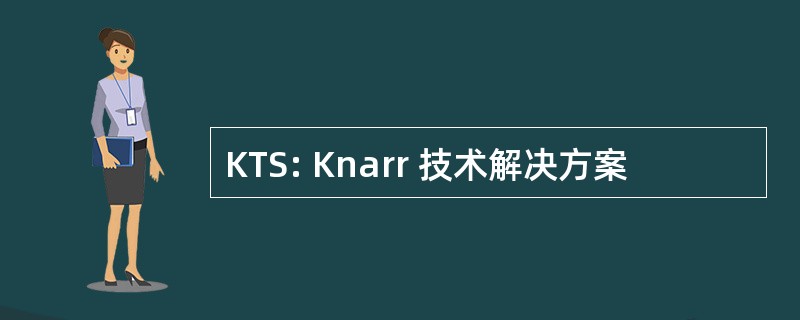 KTS: Knarr 技术解决方案