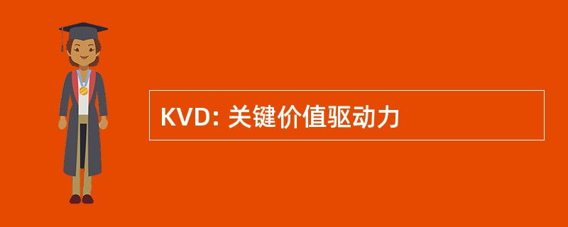 KVD: 关键价值驱动力