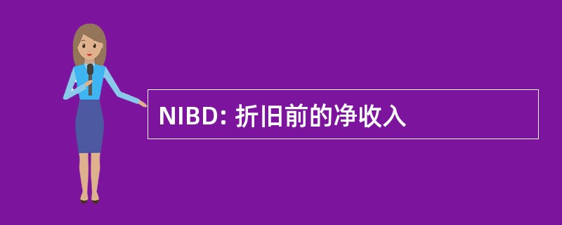 NIBD: 折旧前的净收入