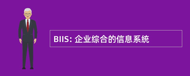 BIIS: 企业综合的信息系统