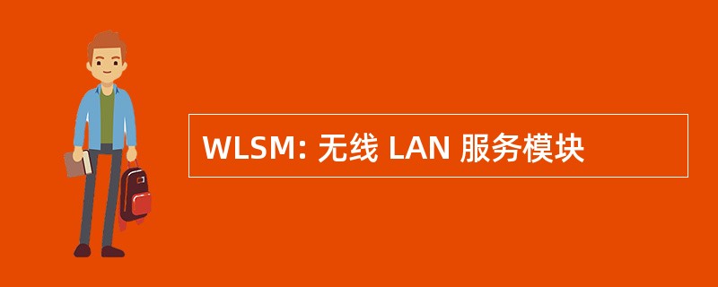 WLSM: 无线 LAN 服务模块