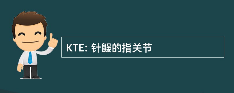 KTE: 针鼹的指关节