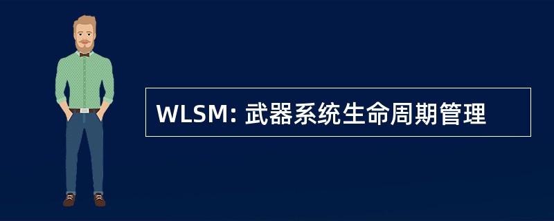 WLSM: 武器系统生命周期管理