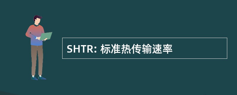 SHTR: 标准热传输速率