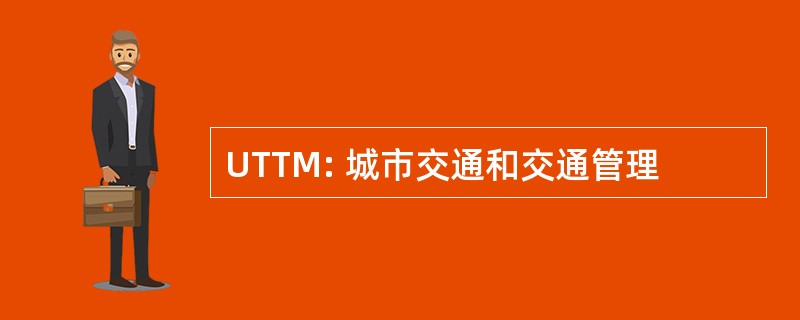 UTTM: 城市交通和交通管理