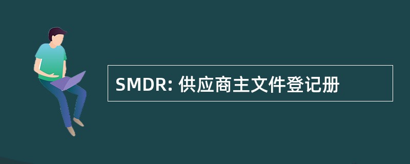 SMDR: 供应商主文件登记册