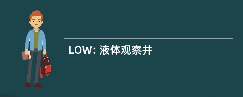 LOW: 液体观察井