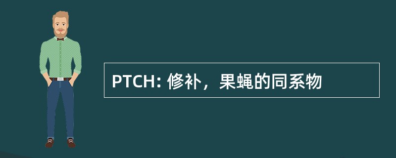 PTCH: 修补，果蝇的同系物