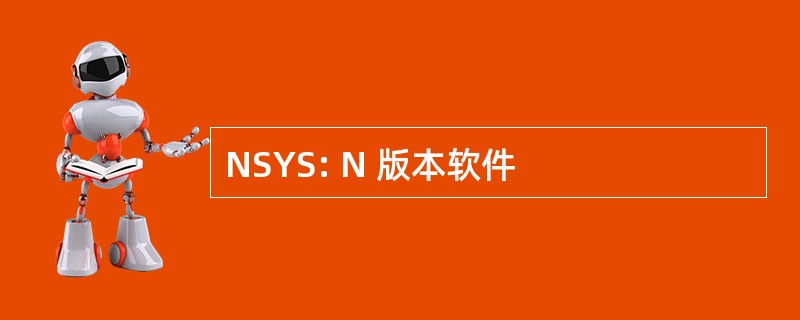 NSYS: N 版本软件