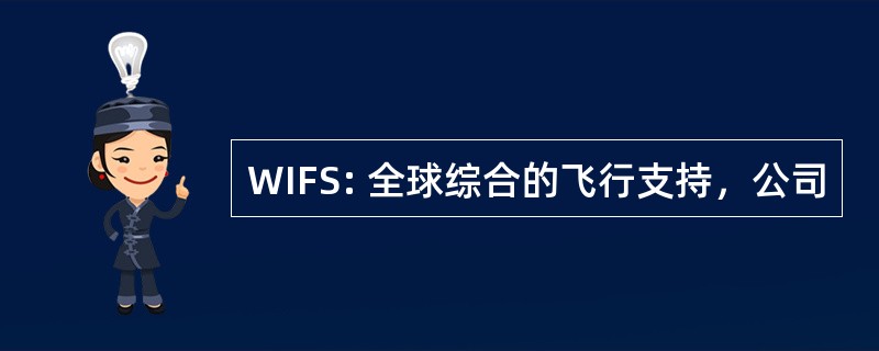 WIFS: 全球综合的飞行支持，公司