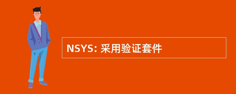 NSYS: 采用验证套件