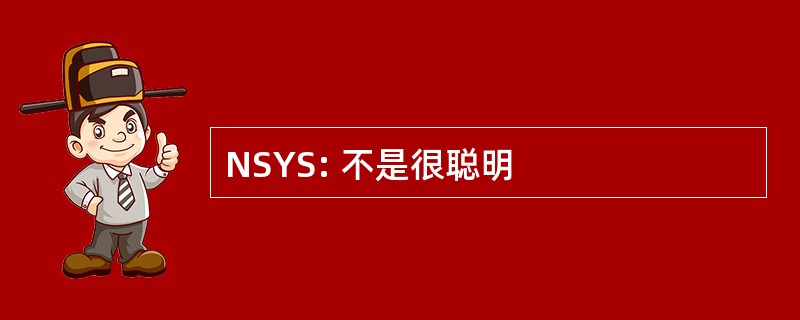 NSYS: 不是很聪明