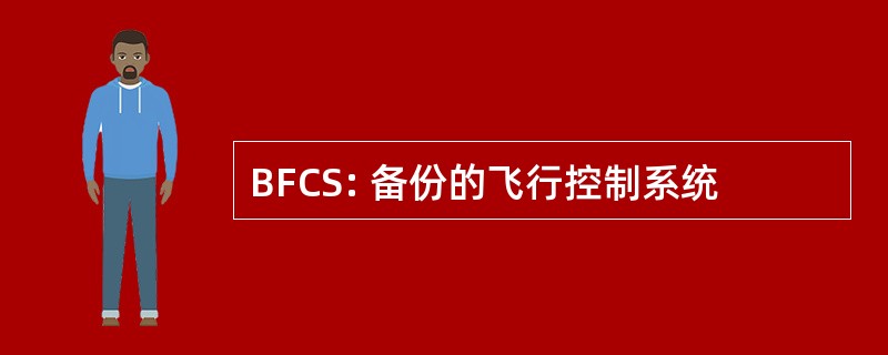 BFCS: 备份的飞行控制系统