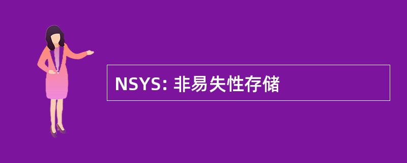 NSYS: 非易失性存储