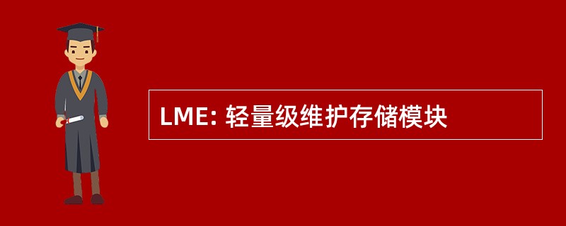 LME: 轻量级维护存储模块