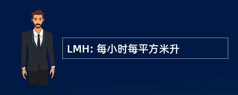 LMH: 每小时每平方米升