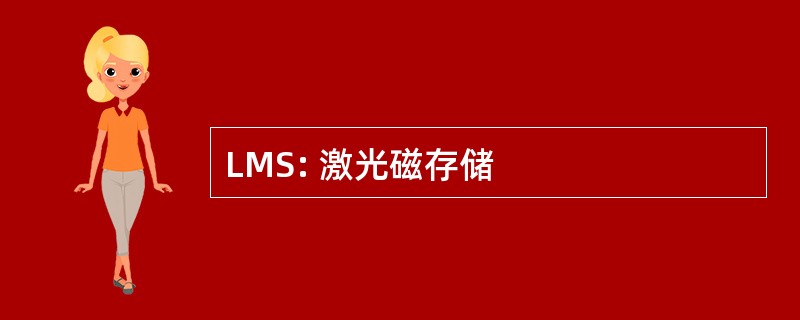 LMS: 激光磁存储