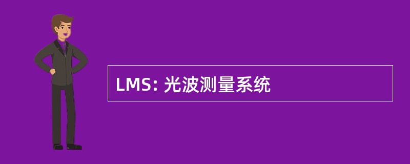 LMS: 光波测量系统