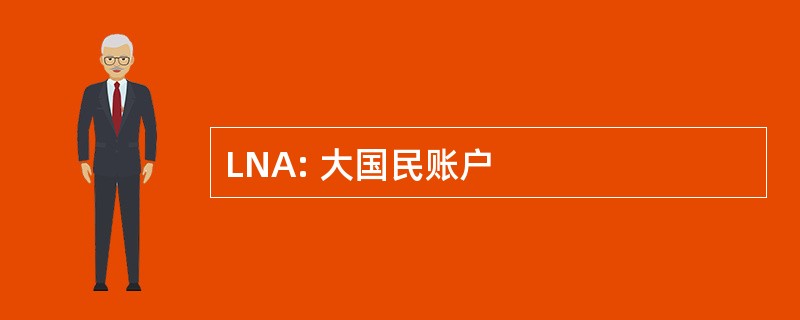 LNA: 大国民账户