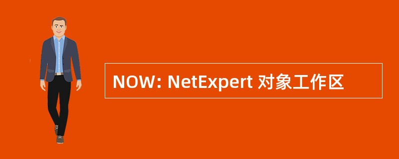 NOW: NetExpert 对象工作区