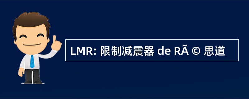 LMR: 限制减震器 de RÃ © 思道