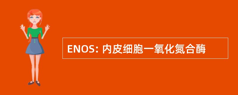 ENOS: 内皮细胞一氧化氮合酶