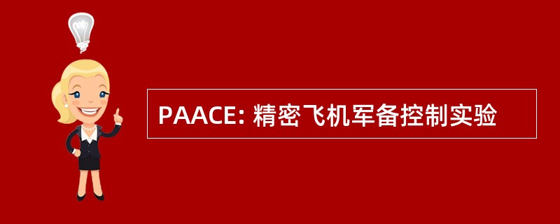 PAACE: 精密飞机军备控制实验