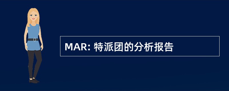 MAR: 特派团的分析报告