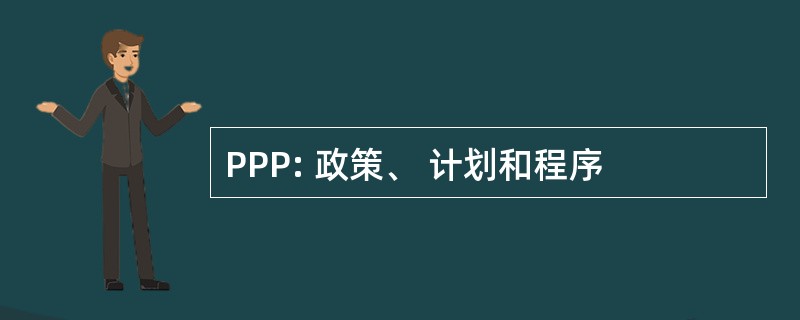 PPP: 政策、 计划和程序