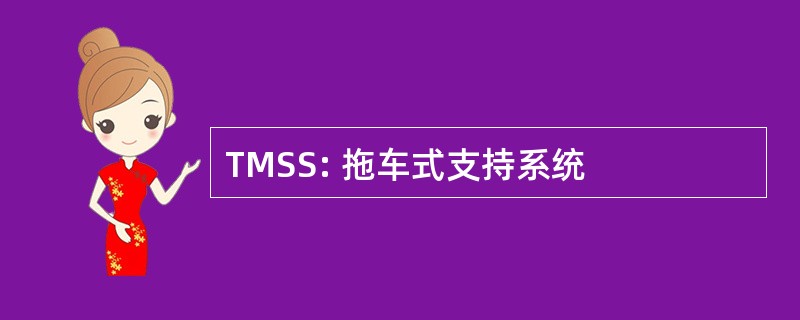 TMSS: 拖车式支持系统