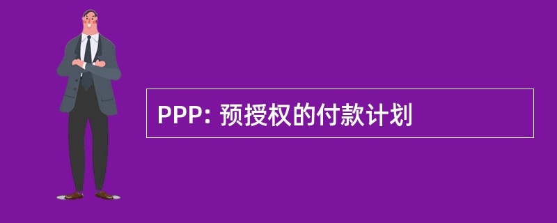 PPP: 预授权的付款计划