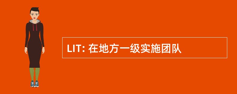 LIT: 在地方一级实施团队