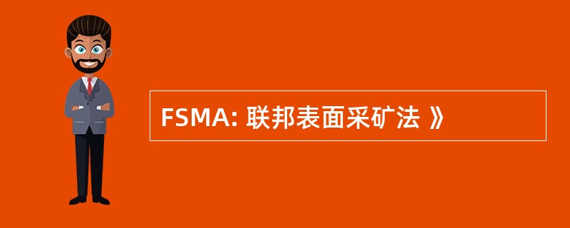 FSMA: 联邦表面采矿法 》