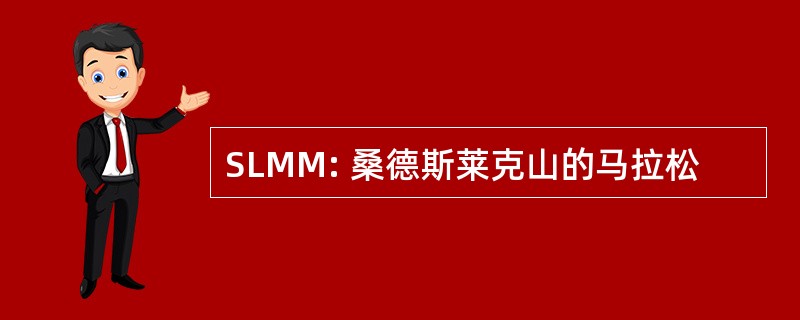 SLMM: 桑德斯莱克山的马拉松