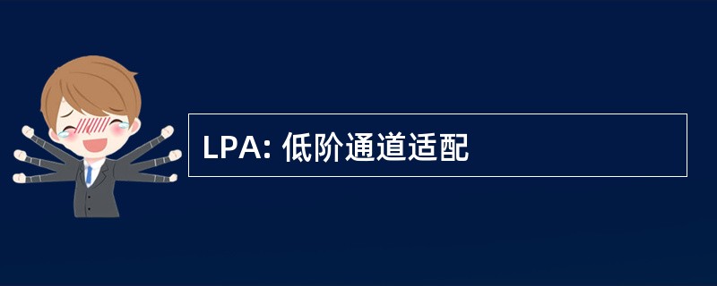 LPA: 低阶通道适配