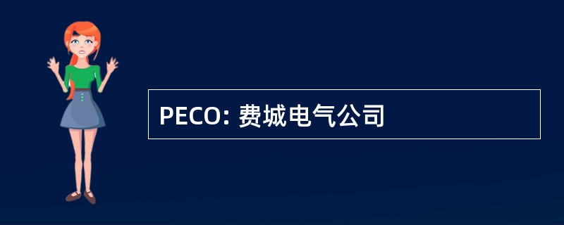 PECO: 费城电气公司