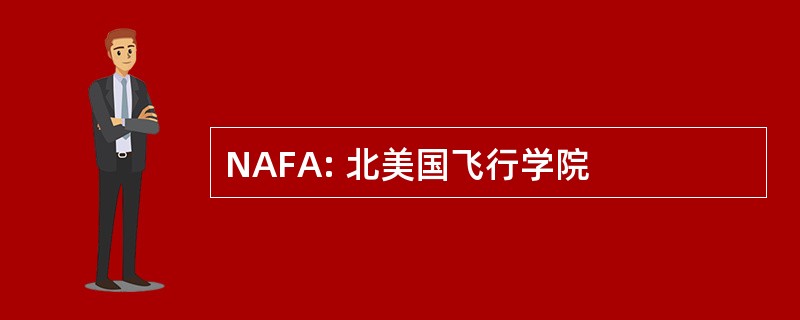 NAFA: 北美国飞行学院