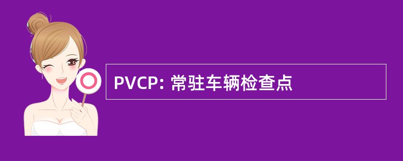 PVCP: 常驻车辆检查点