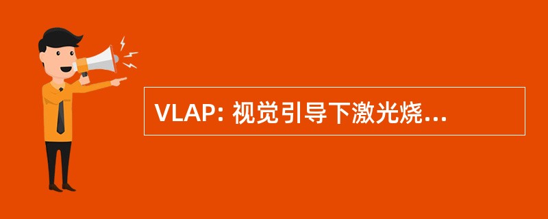 VLAP: 视觉引导下激光烧蚀的前列腺