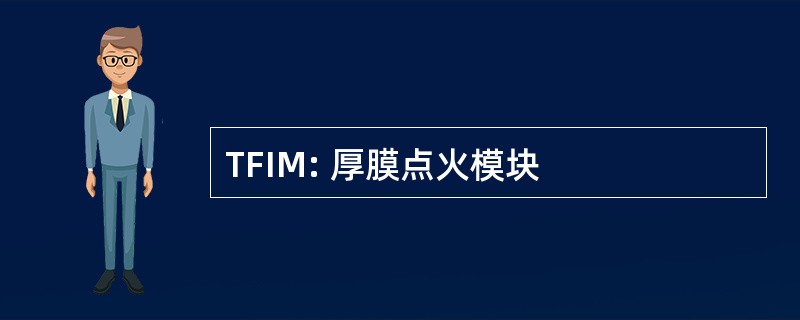 TFIM: 厚膜点火模块