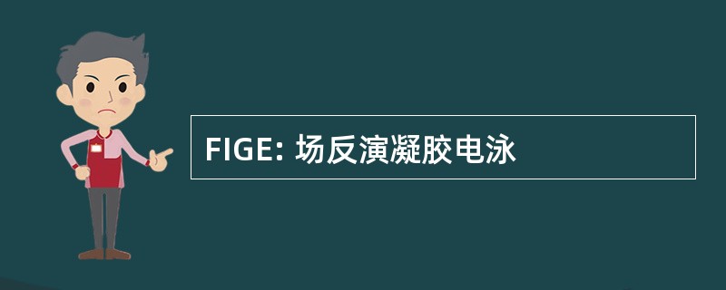 FIGE: 场反演凝胶电泳