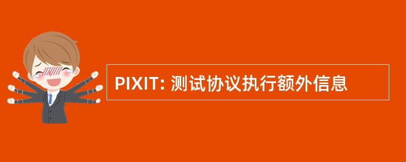 PIXIT: 测试协议执行额外信息