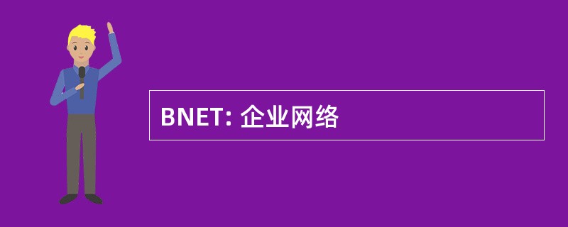 BNET: 企业网络